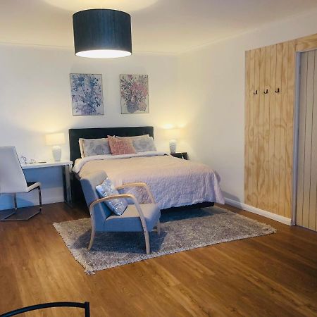 Lux Studio In Dunedin Central 외부 사진